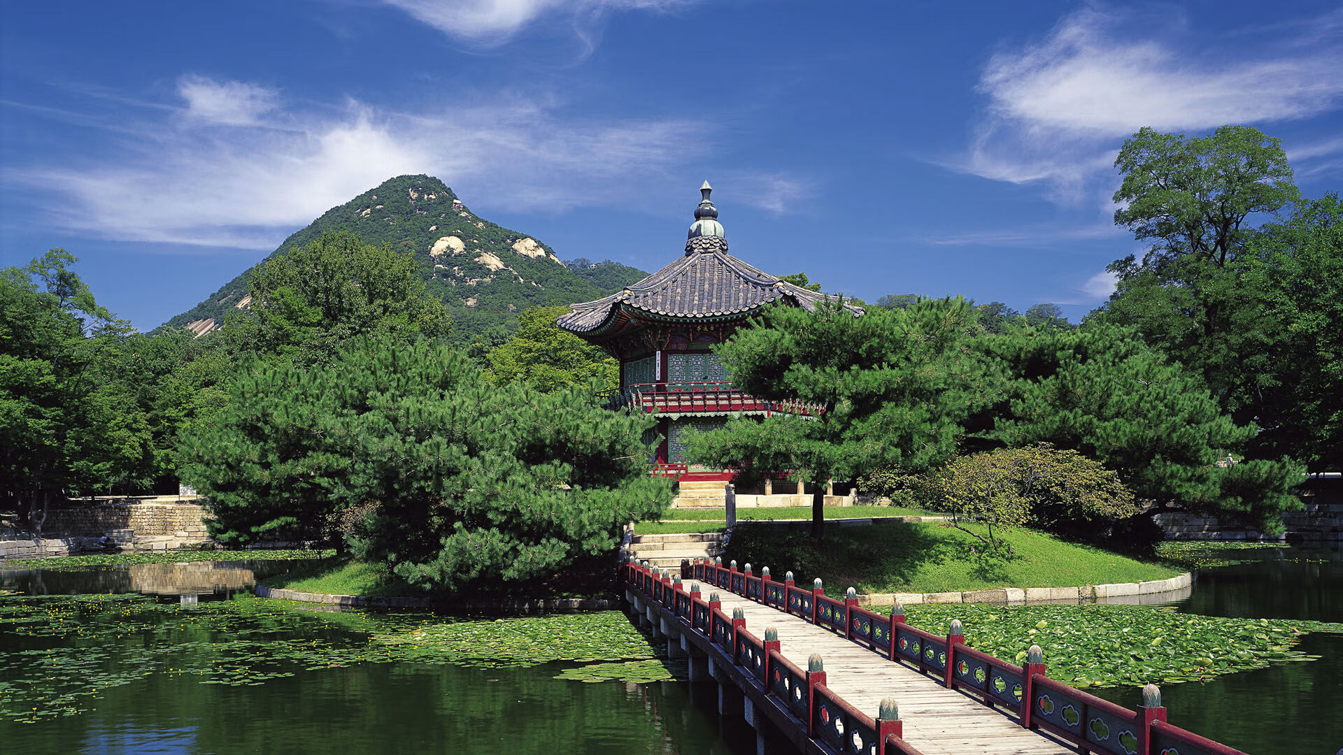 开云体育中国-猛龙过江！西亚卡姆一战封神，山西队合力轻取国王