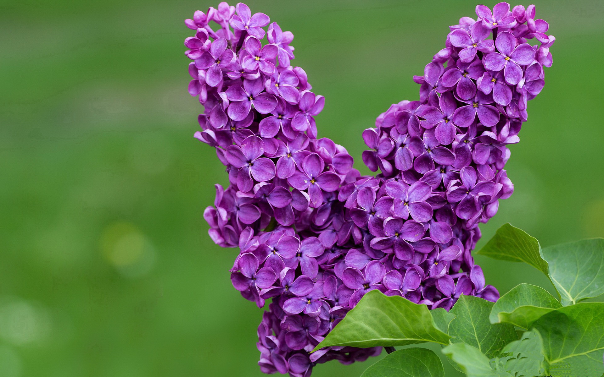东决死斗夜，字母哥觉醒制胜一击