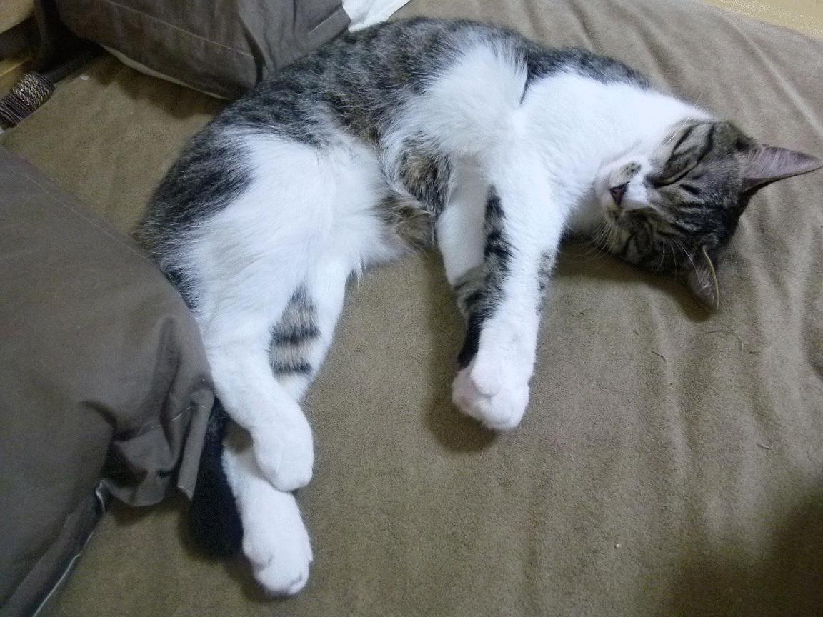 开云体育2026-德甲争冠夜，一个从未射门的人成了英雄