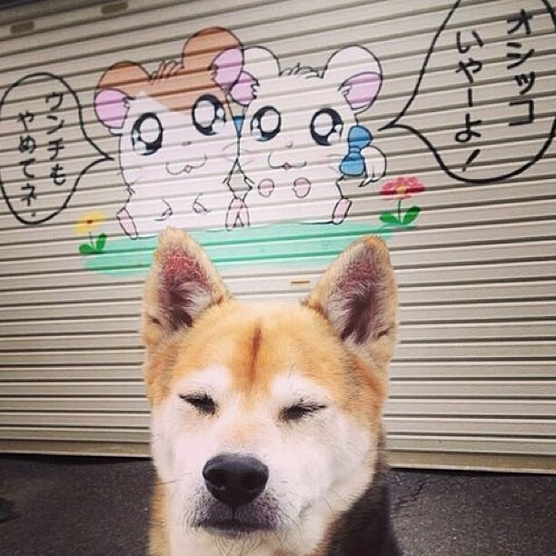 喀麦隆病毒，当迪马利亚在季后赛抢七接管比赛