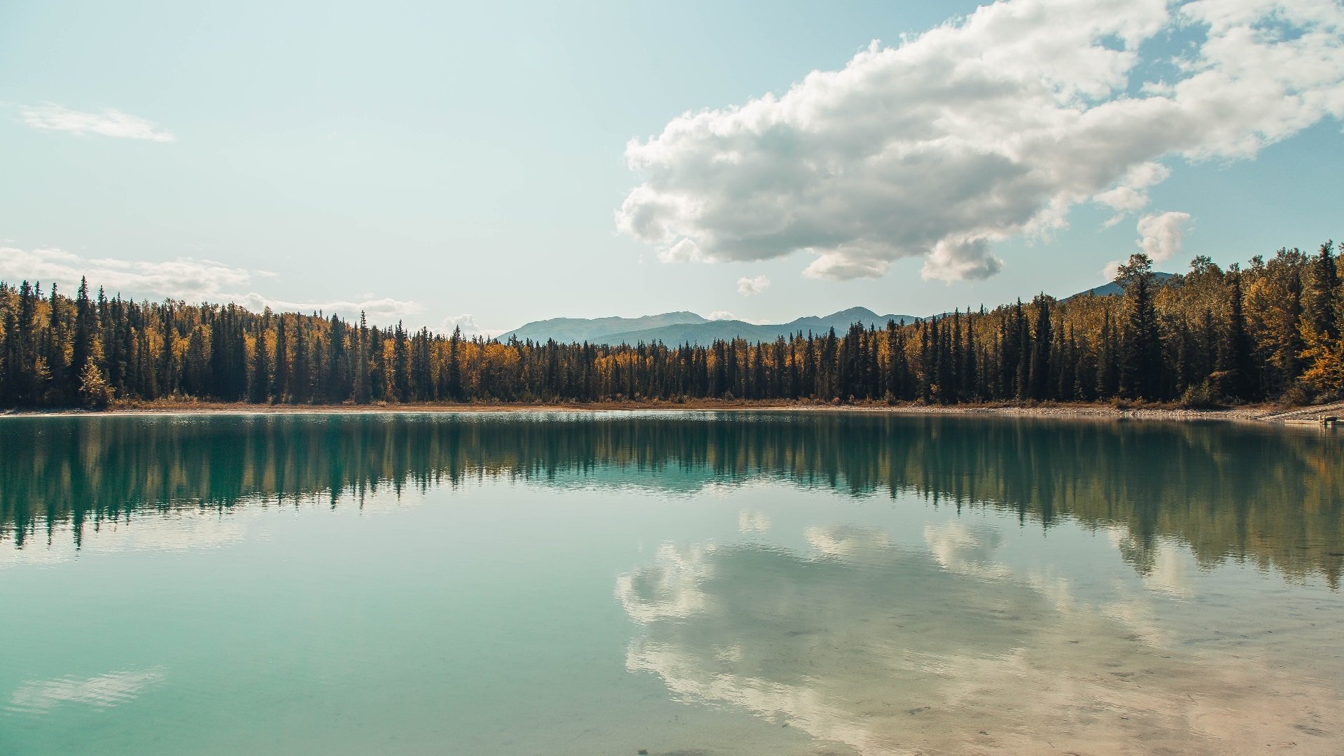 黄与红的博弈,当欧冠铁律遭遇智利时间