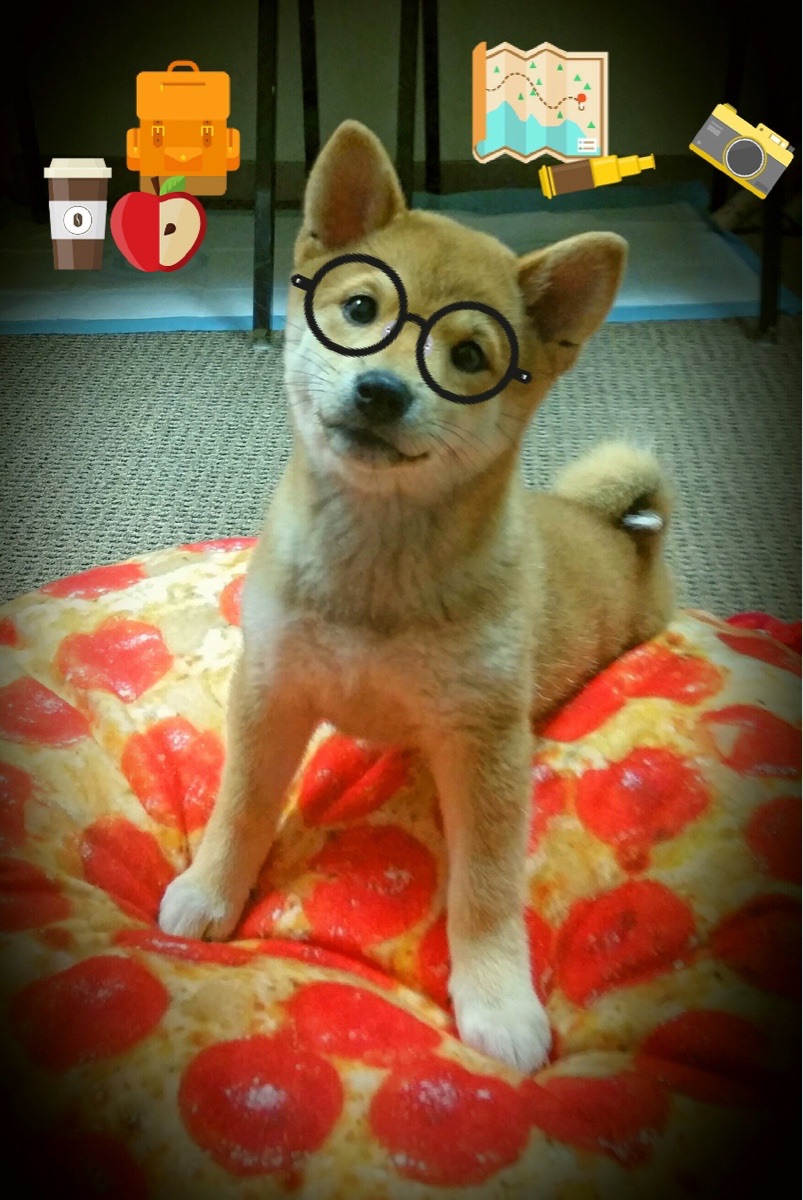 铁血山西对飚华丽勇士,团队烈焰与孤星璀璨的终极对话