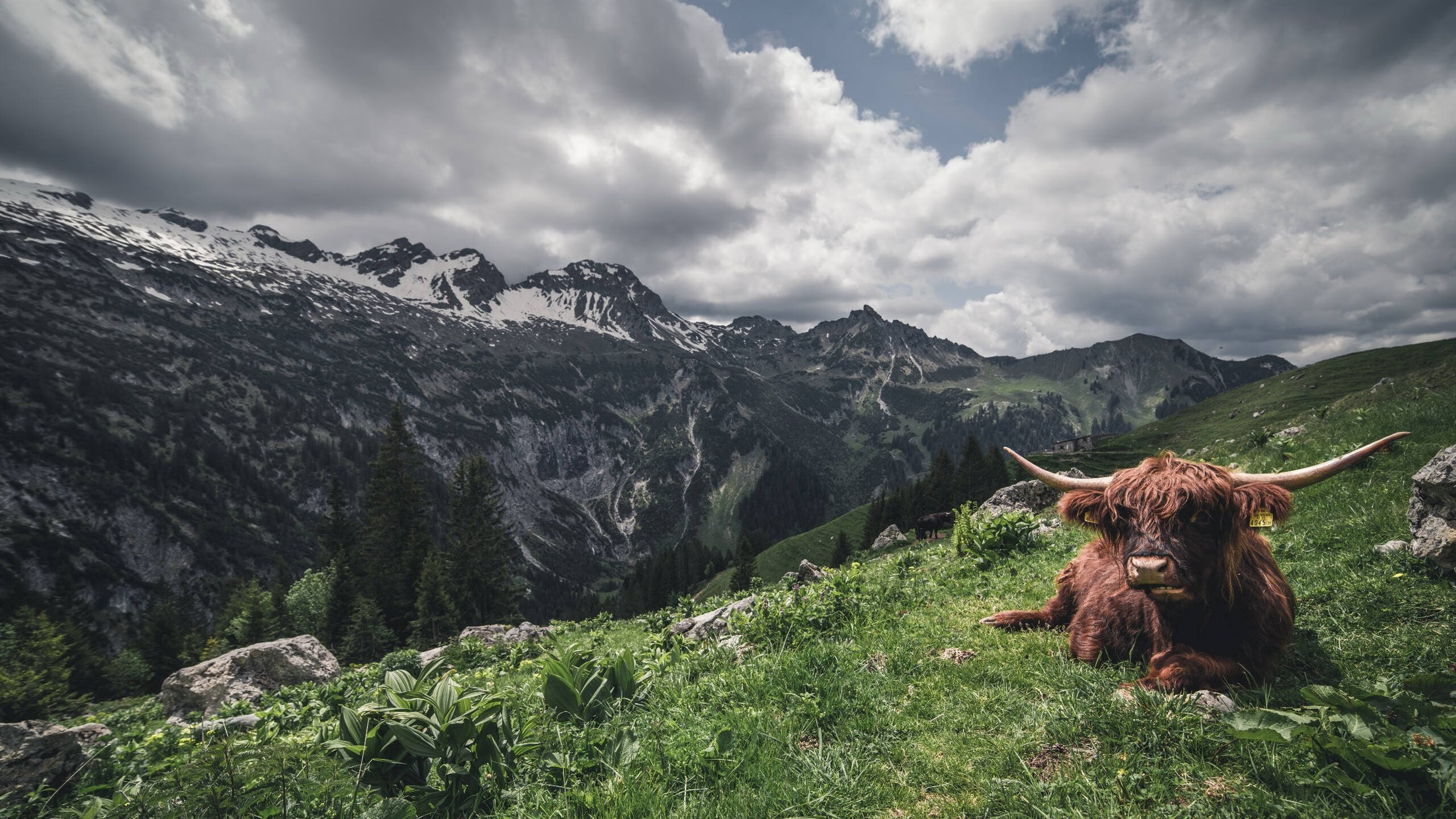 从北京队到费城心脏,冷门与王者的篮球启示录
