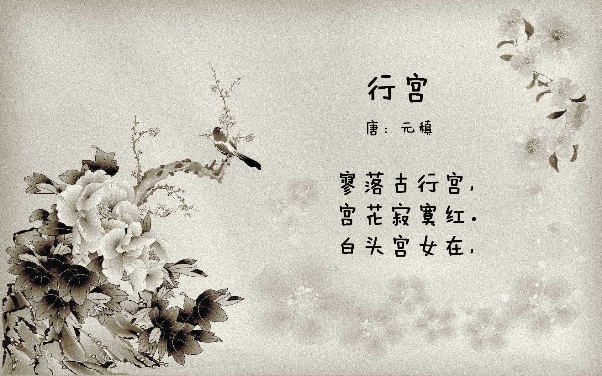 开云体育2026-太阳灼尽悬念，为何篮网余烬中站起的是对手的新星？