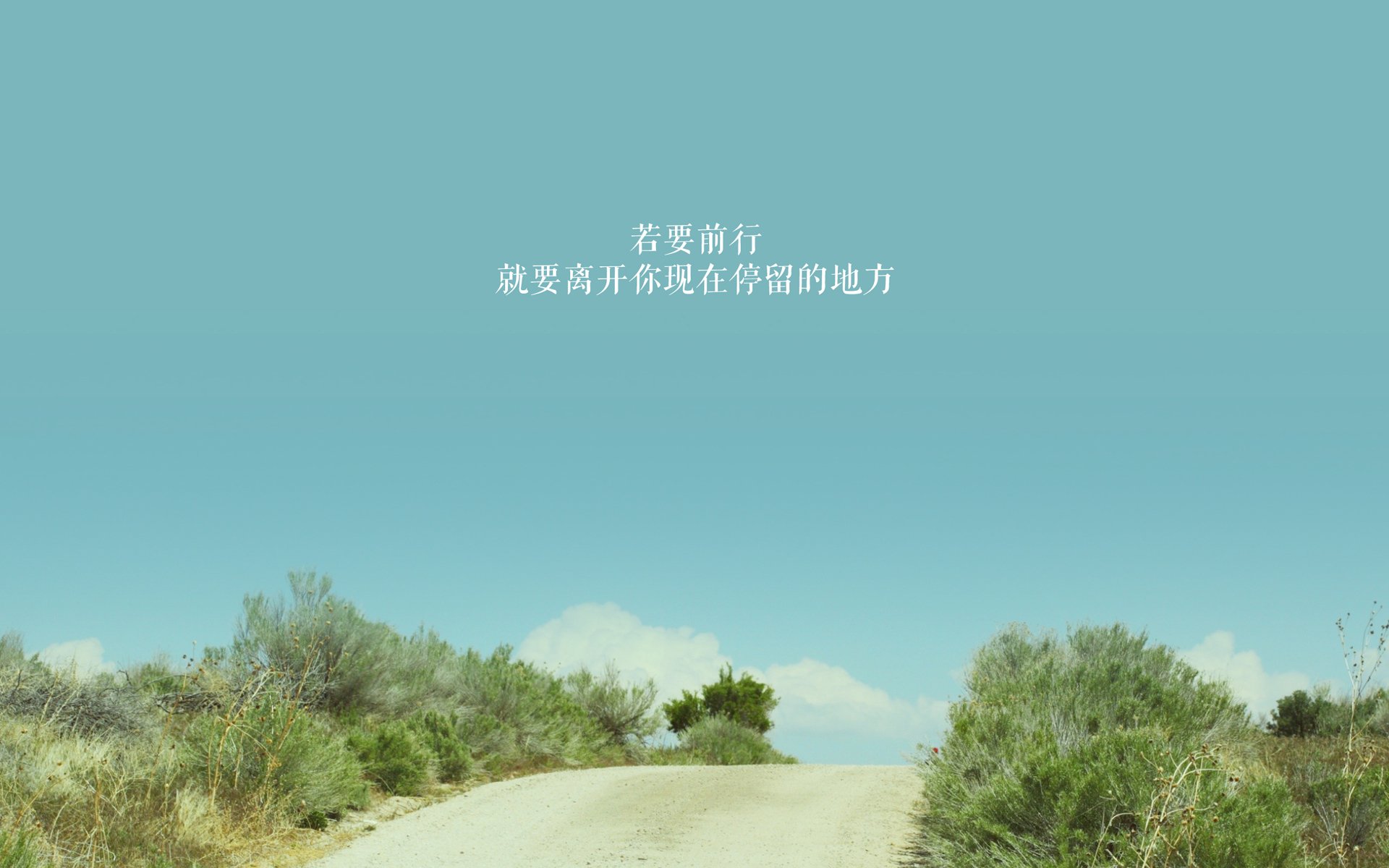 开云体育官网-双线征服，阿根廷铁血碎卡塔尔，哈弗茨奥运生死局封神