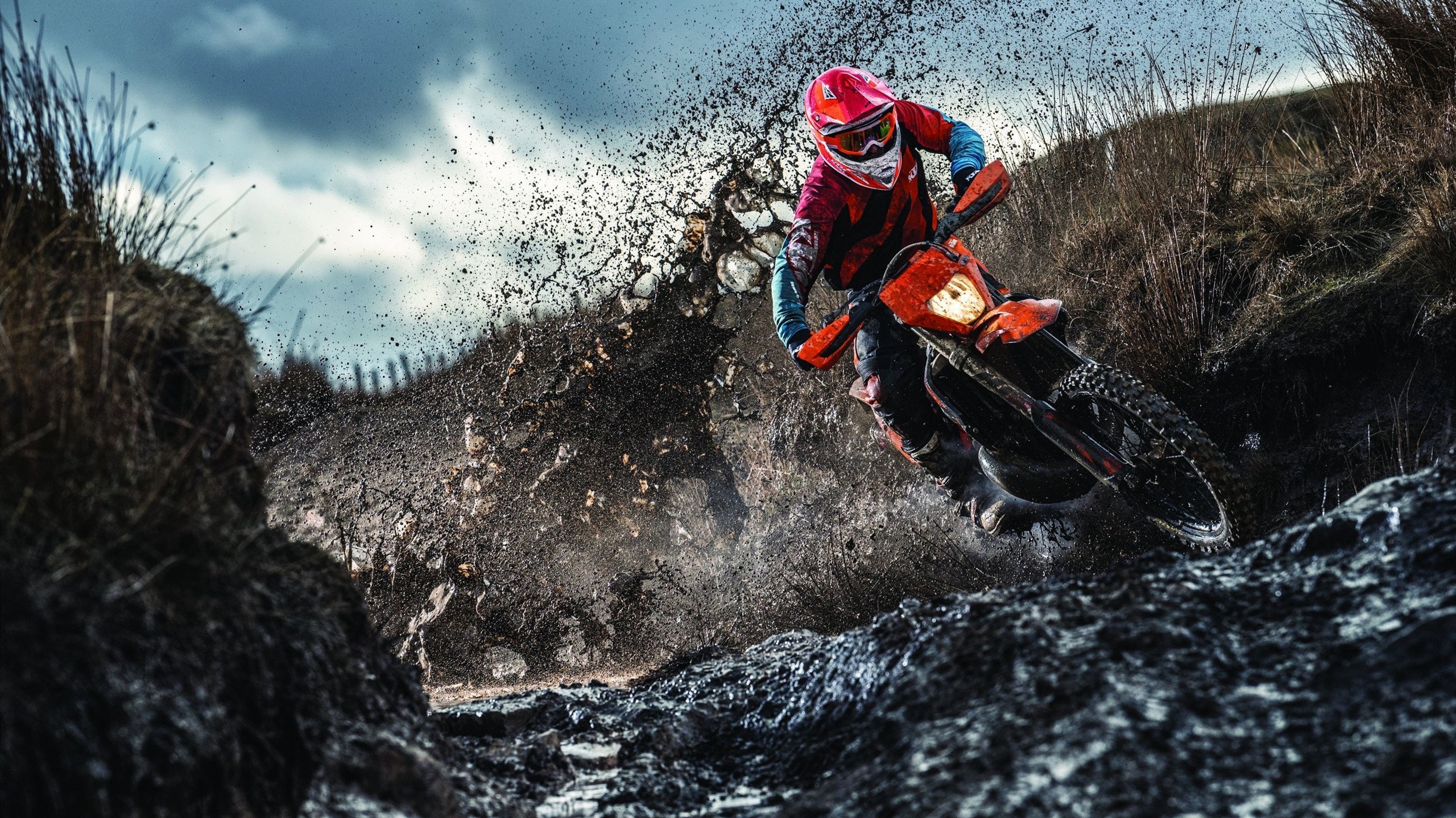 门神出鞘!库尔图瓦惊天一击,波兰险胜喀麦隆