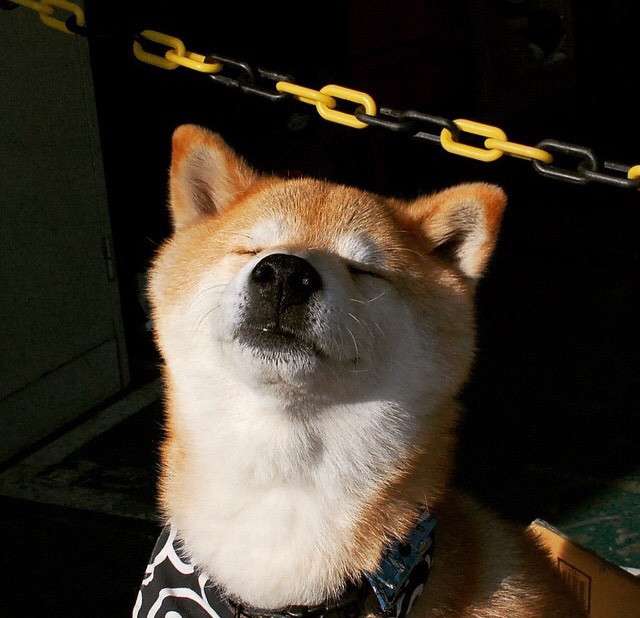 开云体育在线-东决关键战之夜，冰与火的对决中，米切尔数据全面引爆球场