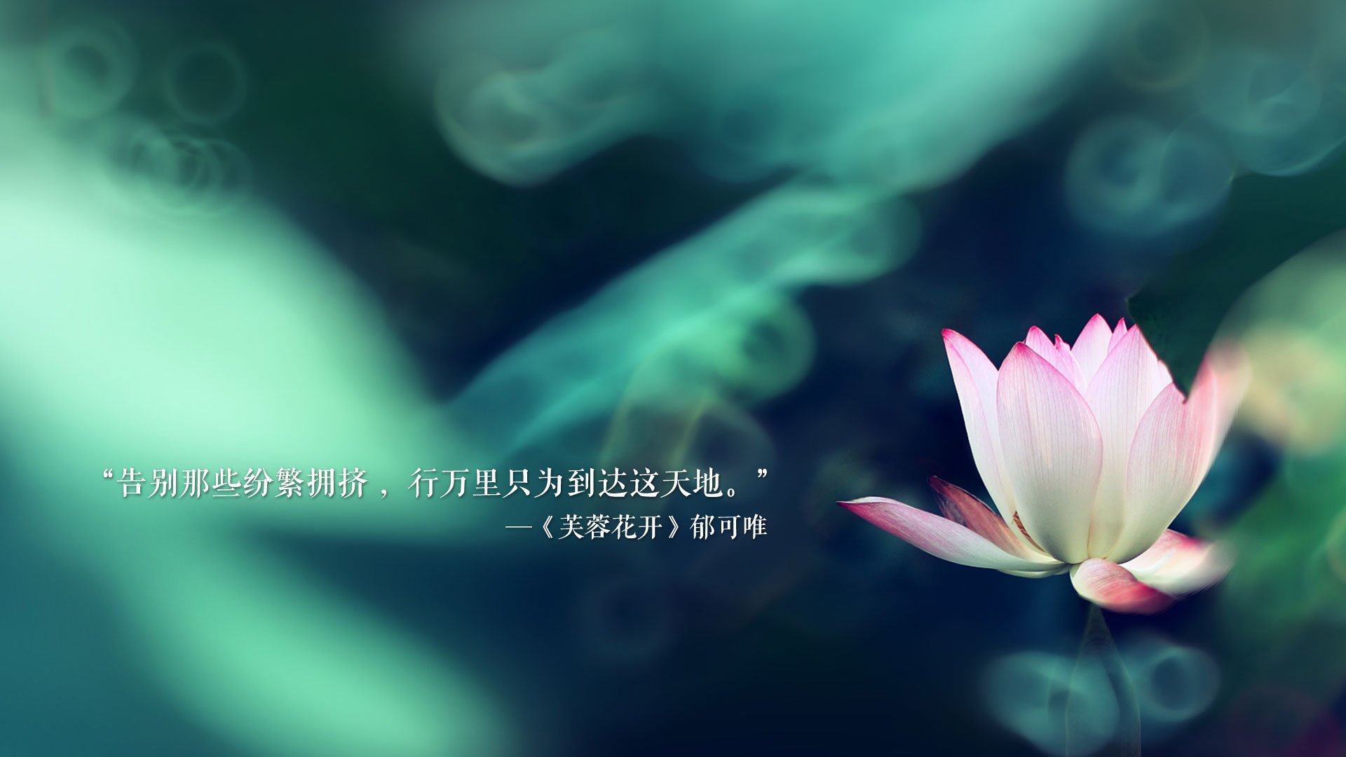 巅峰盛宴,国王队新疆决胜局,爱德华兹年度封神一战