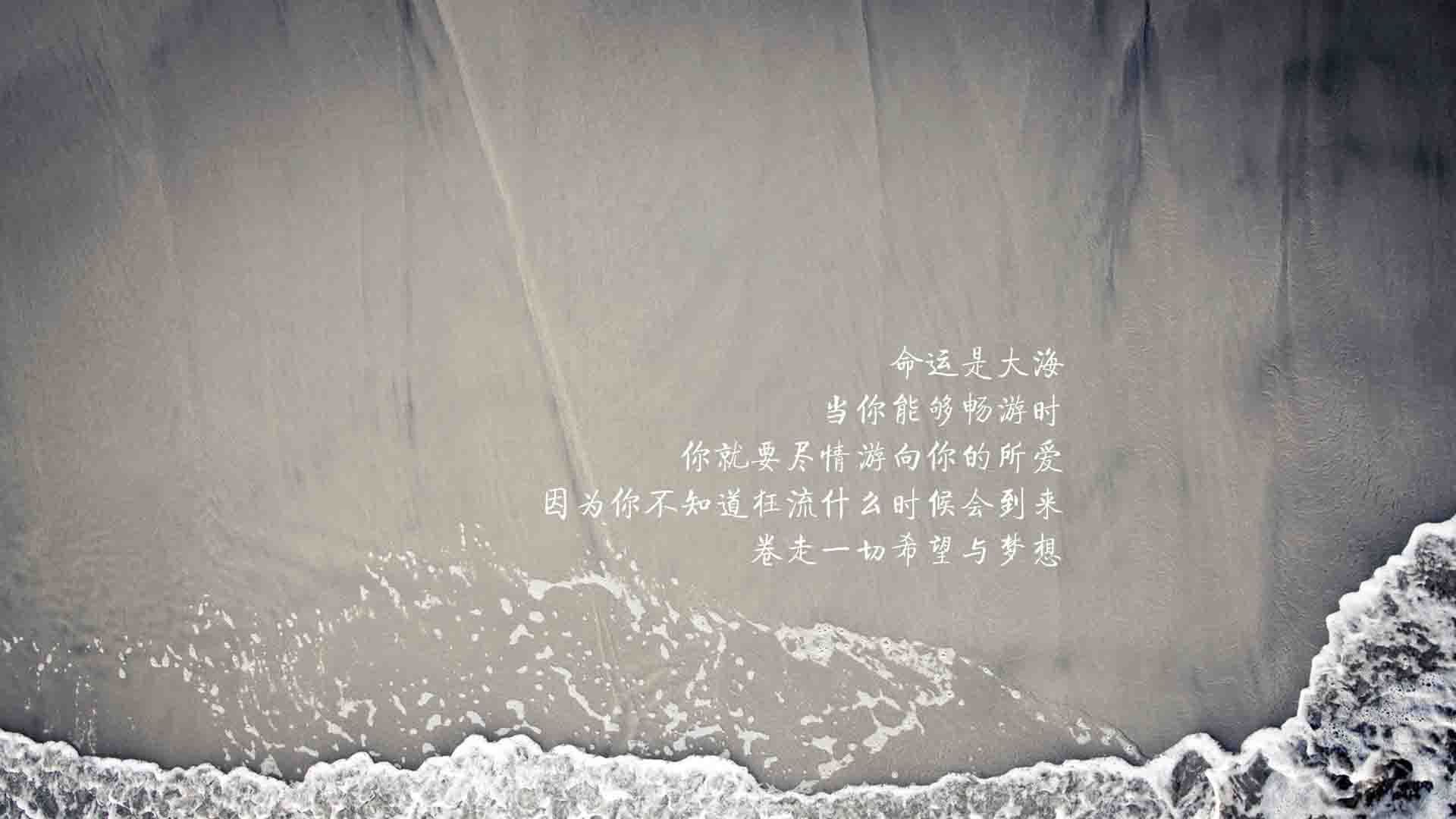 开云体育平台APP-波斯铁骑的涅槃之夜，哈基米独奏世界杯最强音，替补奇兵改写C组格局