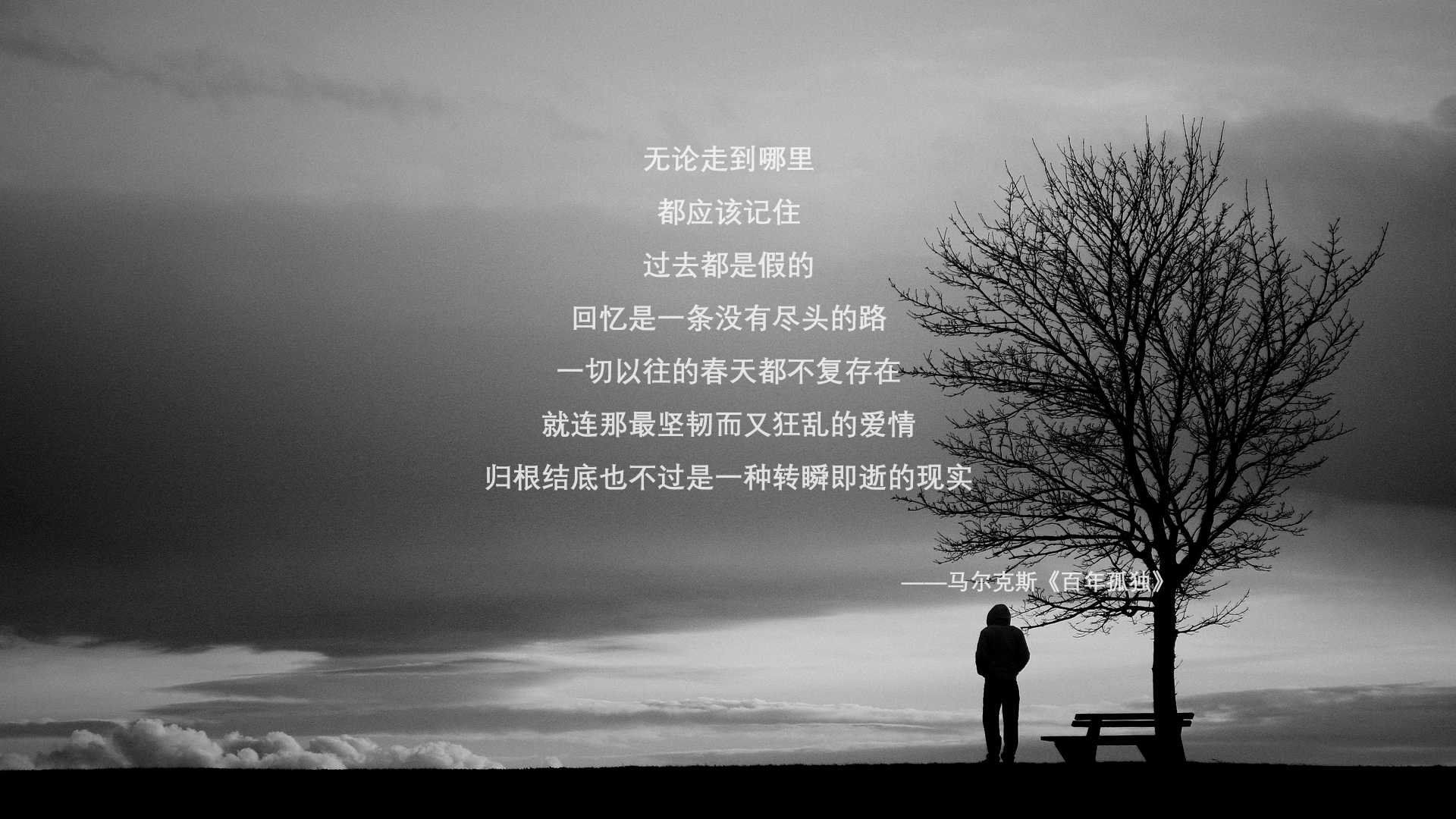 双重身份，当托纳利带着匈牙利的灵魂，撞上美国梦的钢铁意志