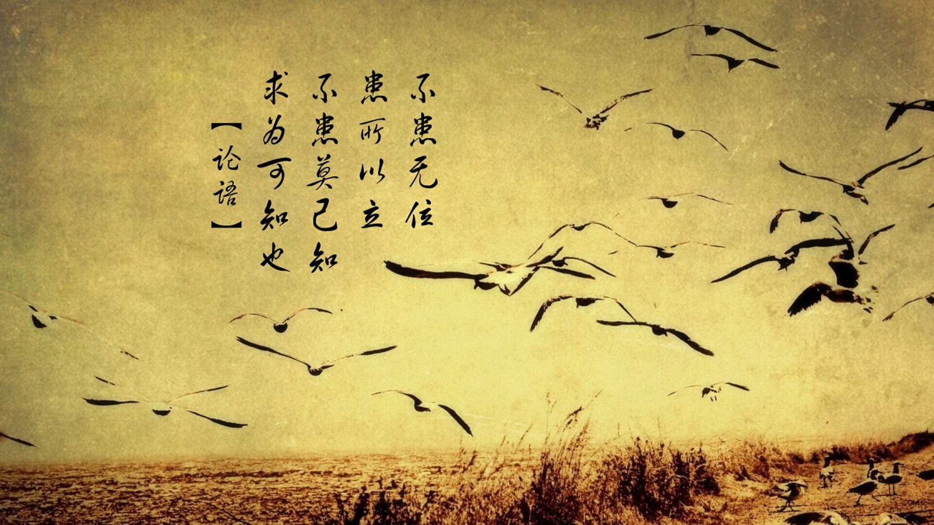 中场魔术师的独裁时代，德容如何用一脚传球定义2026世界杯D组生死战？